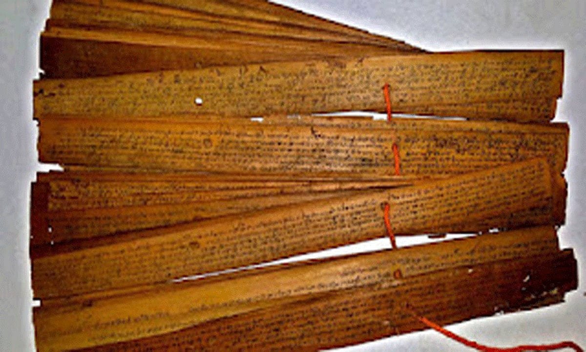 Palm Leaf